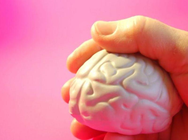 10 тверджень про мозок, які ви до сих пір вважали істинними