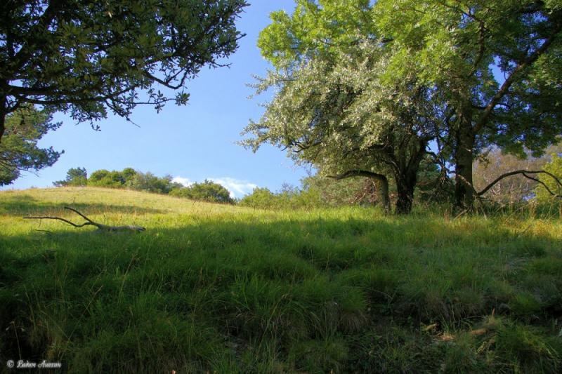 Crimean nature reserve