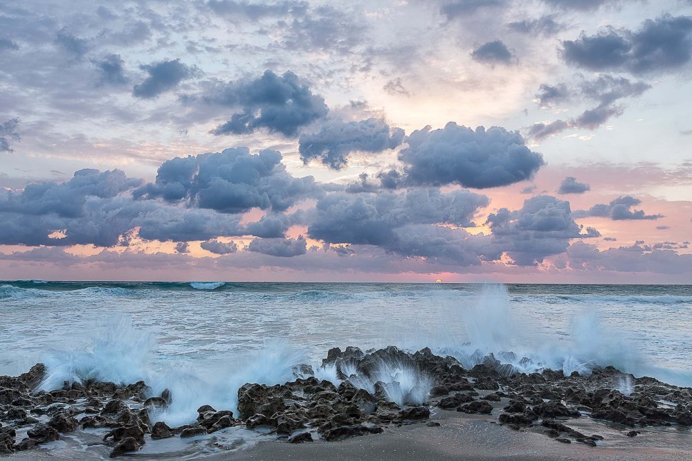 All winners of the photo contest Focus on Nature 2014