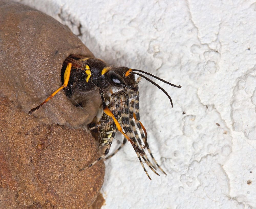 All winners of the photo contest Focus on Nature 2014