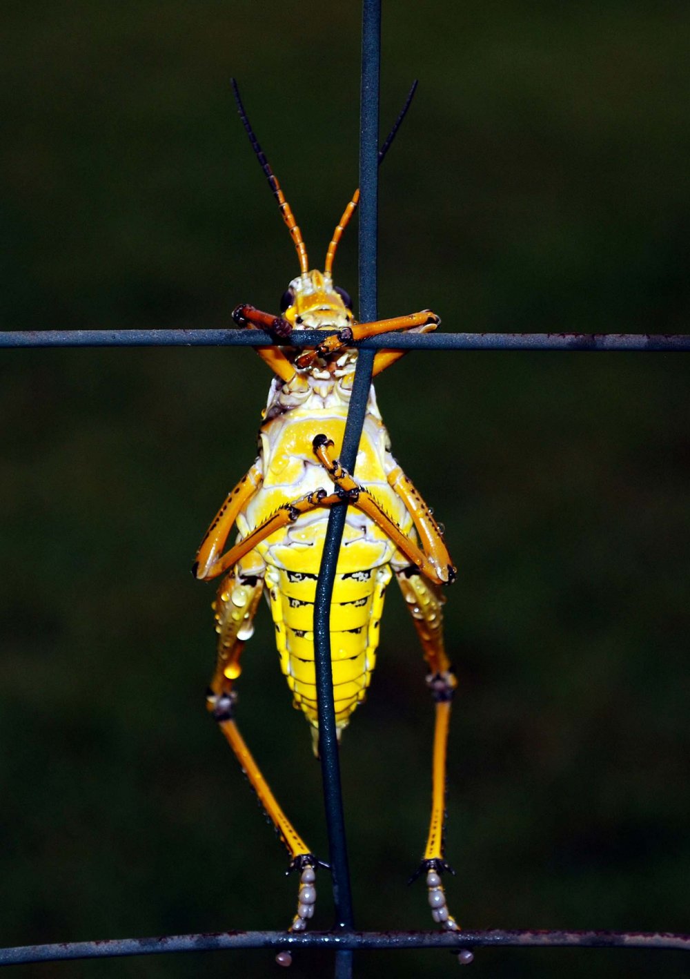 All winners of the photo contest Focus on Nature 2014