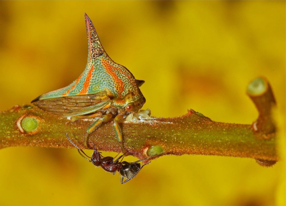 All winners of the photo contest Focus on Nature 2014