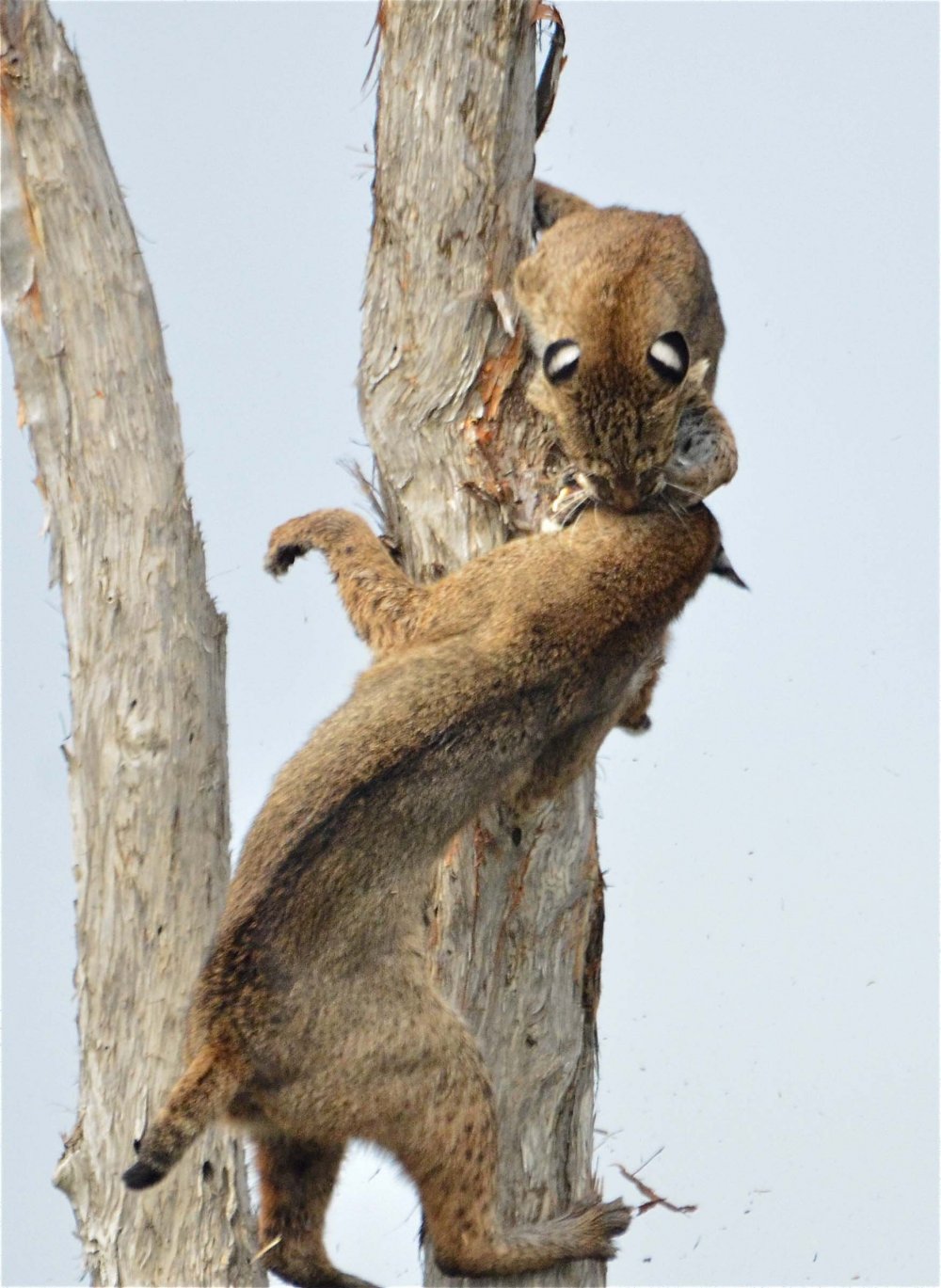 Все победители фотоконкурса Focus on Nature 2014