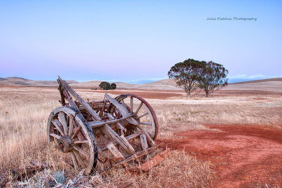 Natural landscapes of Julie Fletcher