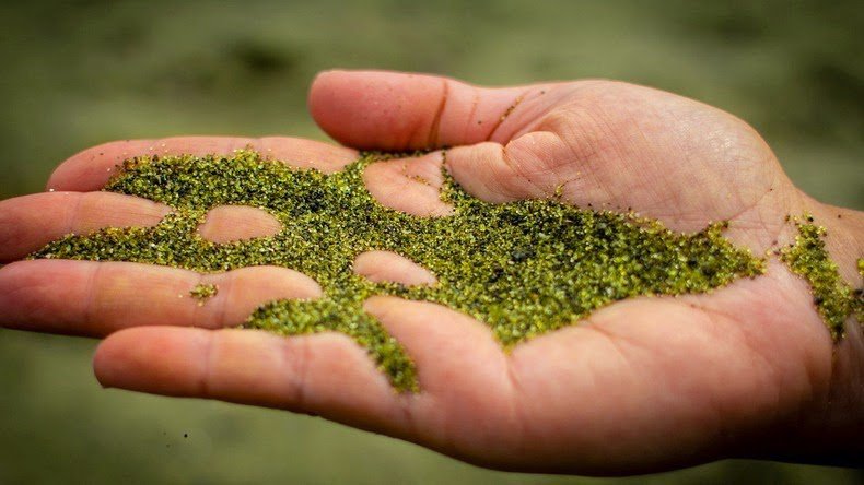 Papakolea's Beach - the Greenest Beach in the World