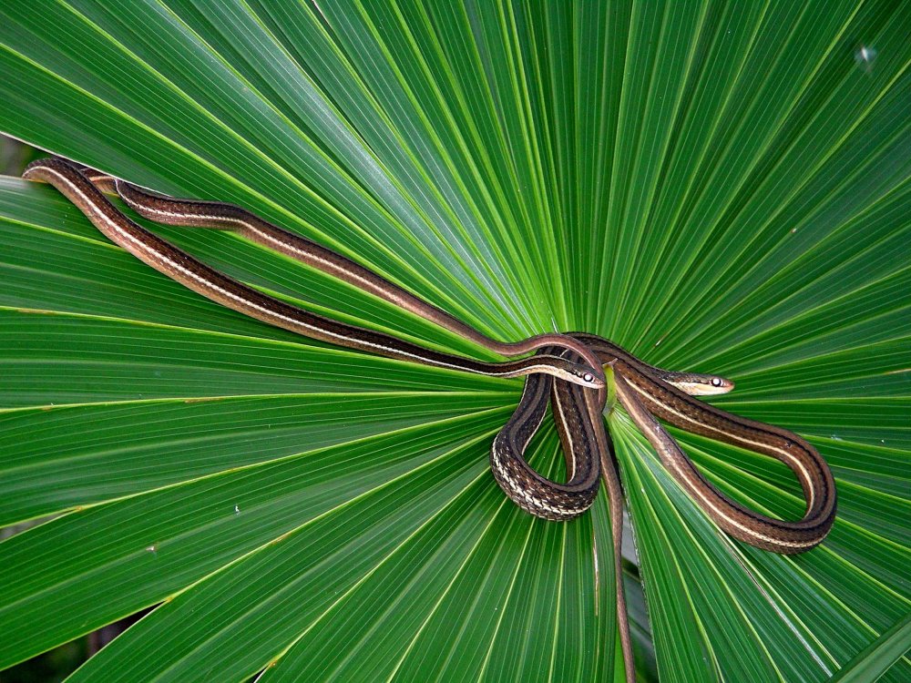 All winners of the photo contest Focus on Nature 2014