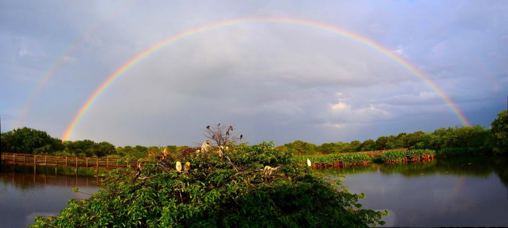 All winners of the photo contest Focus on Nature 2014