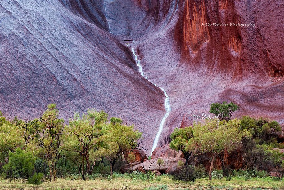 Natural landscapes of Julie Fletcher