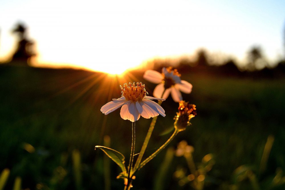 All winners of the photo contest Focus on Nature 2014