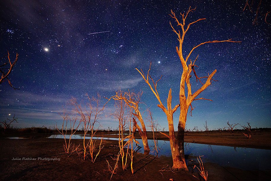 Natural landscapes of Julie Fletcher