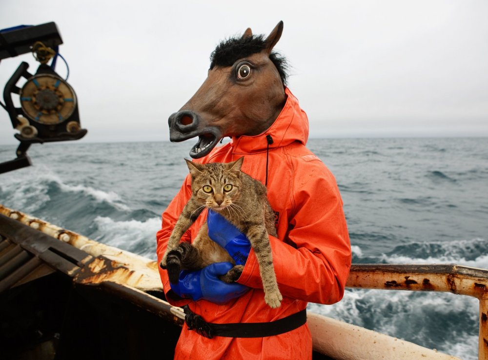 Everyday life of Alaska croakers