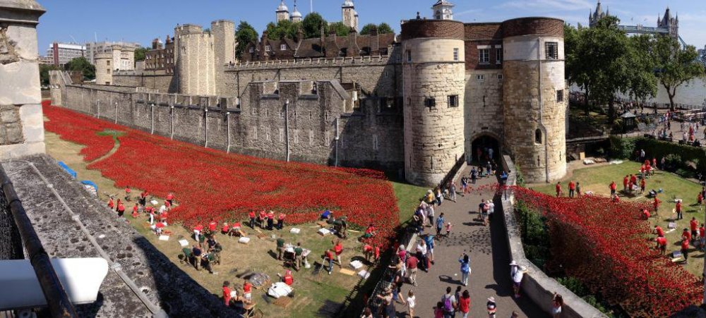 888 thousand poppies of the Castle Tower