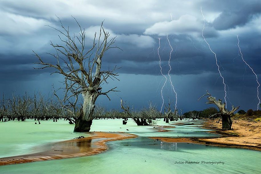 Natural landscapes of Julie Fletcher