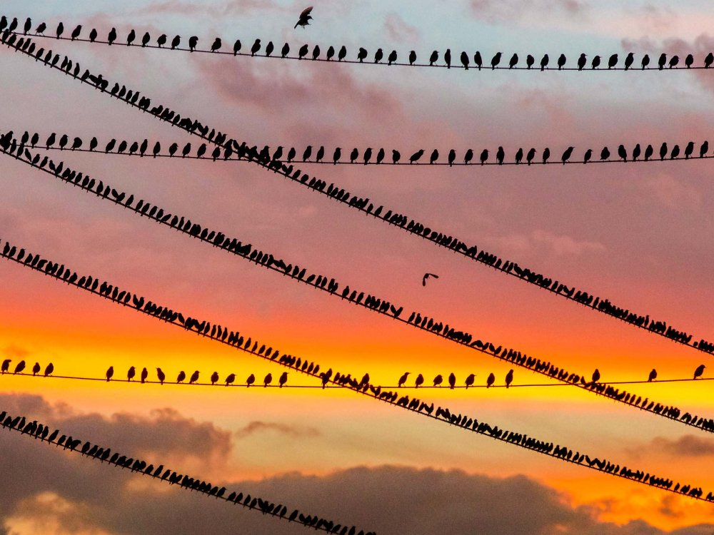 Всі переможці фотоконкурсу Focus on Nature 2014