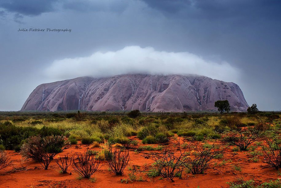 Natural landscapes of Julie Fletcher