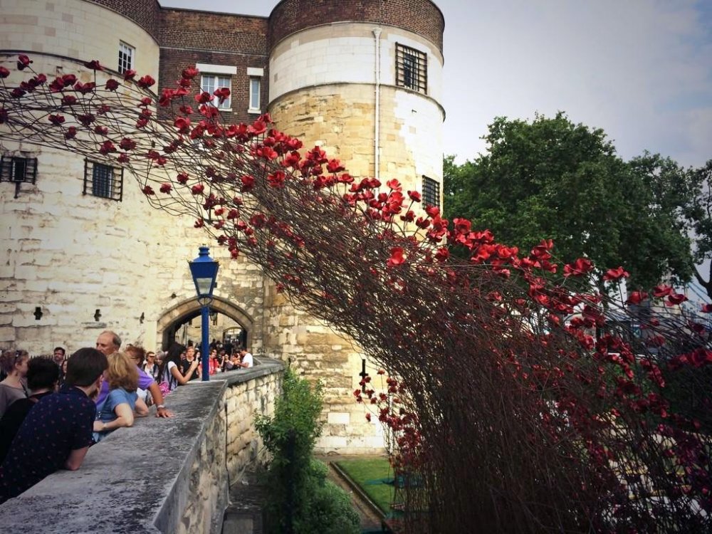 888 thousand poppies of the Castle Tower