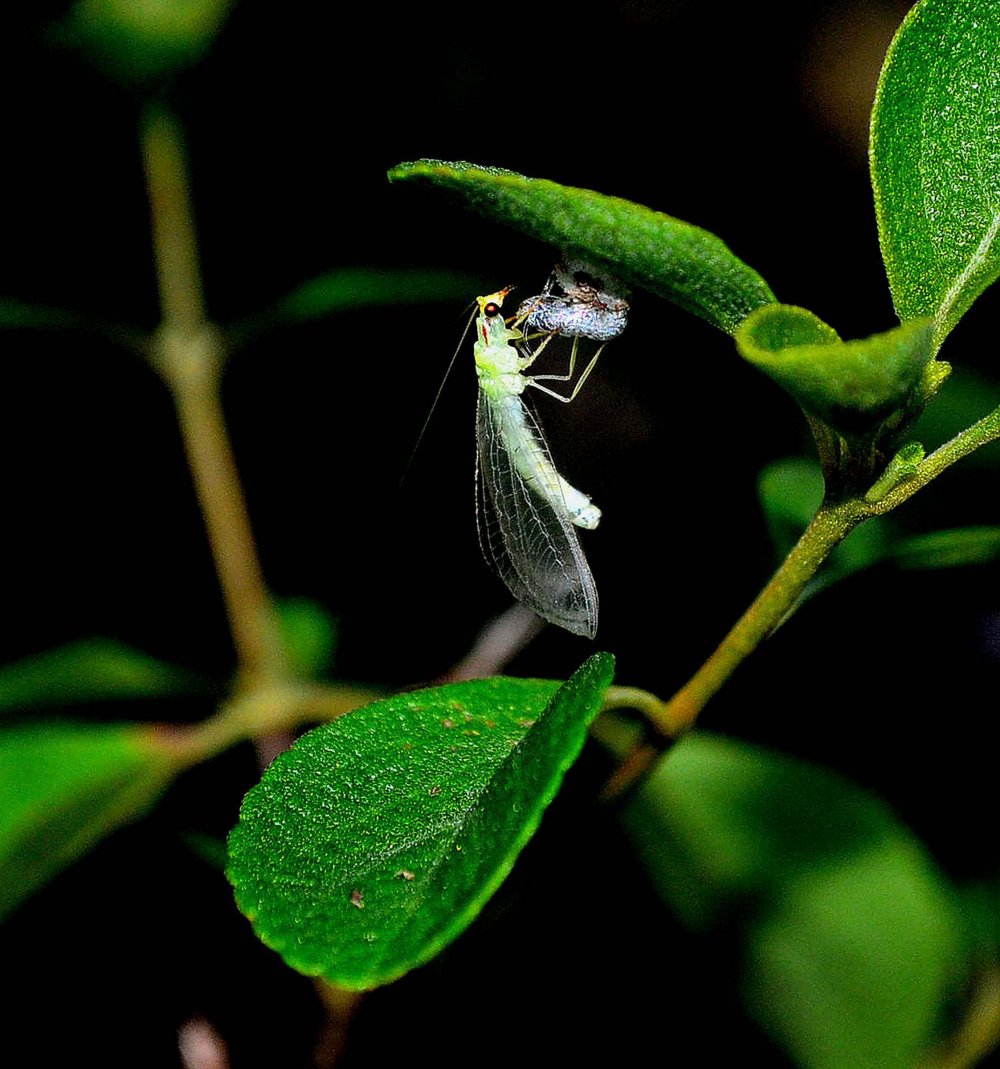 All the winners of the photo contest Focus on Nature 2014