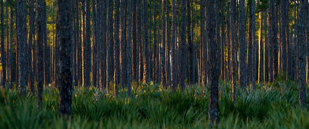 All winners of the photo contest Focus on Nature 2014