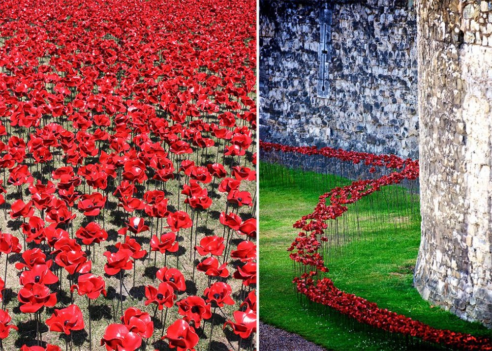 888 thousand poppies of the castle of the Tower