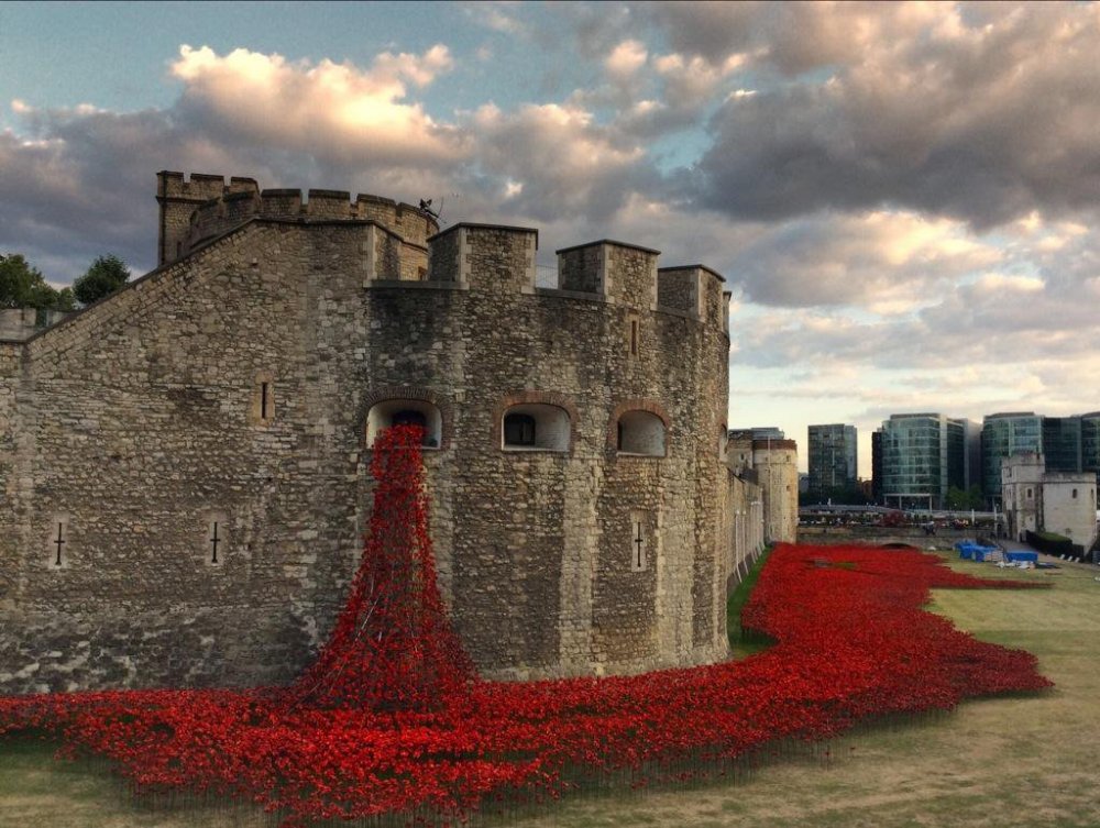 888 thousand poppies of the Castle Tower