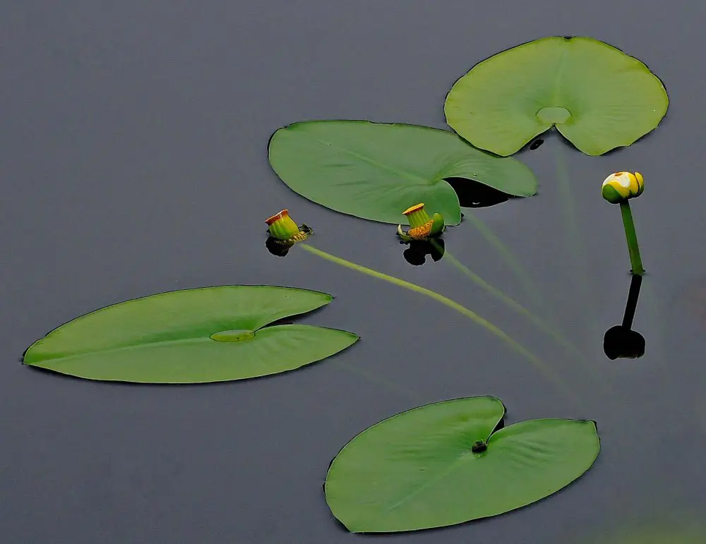 Все победители фотоконкурса Focus on Nature 2014