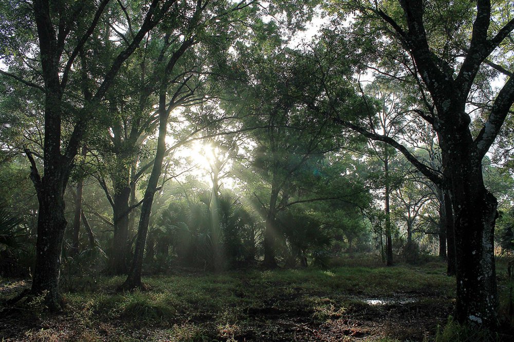 All winners of the photo contest Focus on Nature 2014