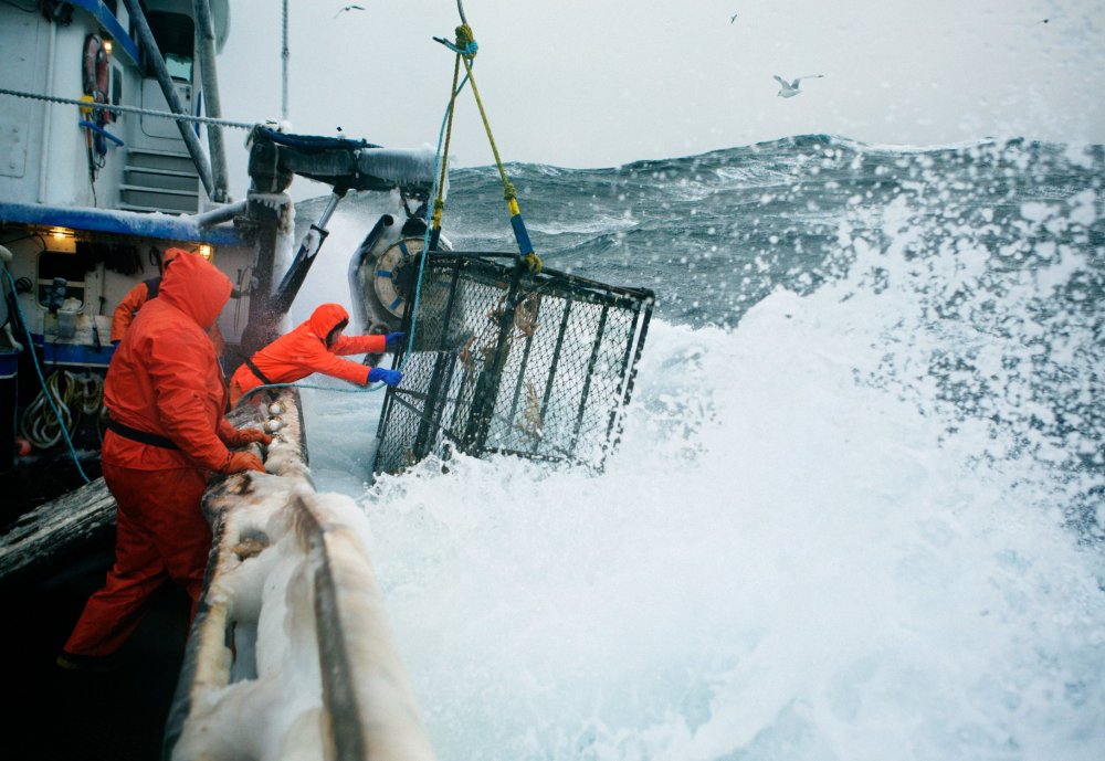 Weekdays of Alaskan Crabbers