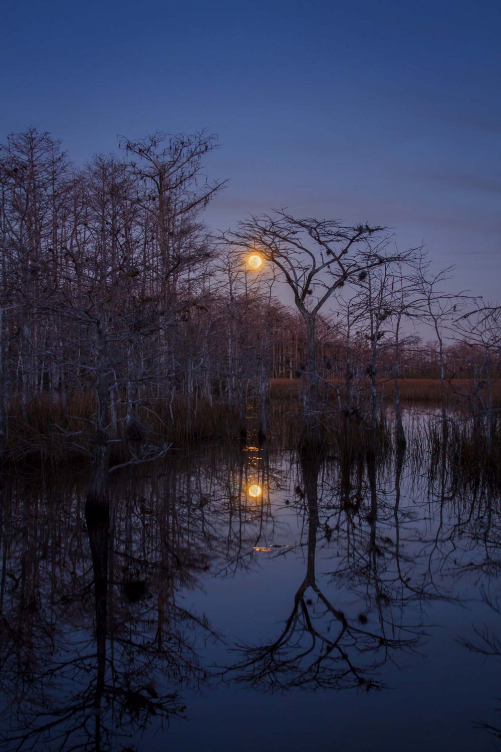 Все победители фотоконкурса Focus on Nature 2014