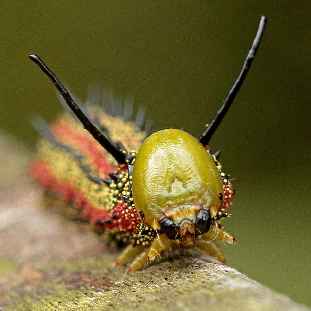 All winners of the photo competition Focus on Nature 2014