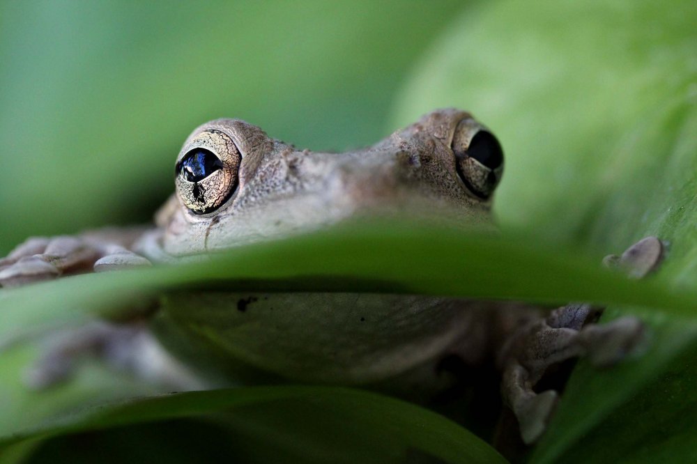 All winners of the photo contest Focus on Nature 2014