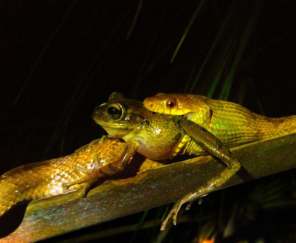 All winners of the photo contest Focus on Nature 2014