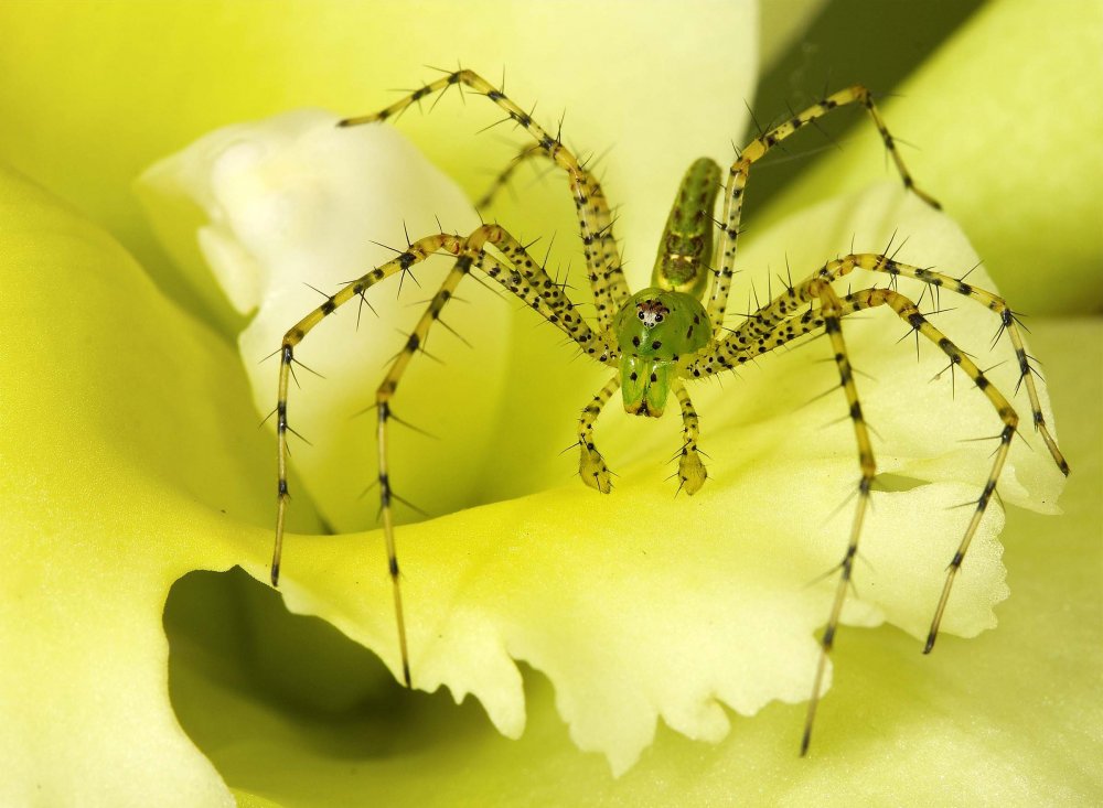 All winners of the photo contest Focus on Nature 2014