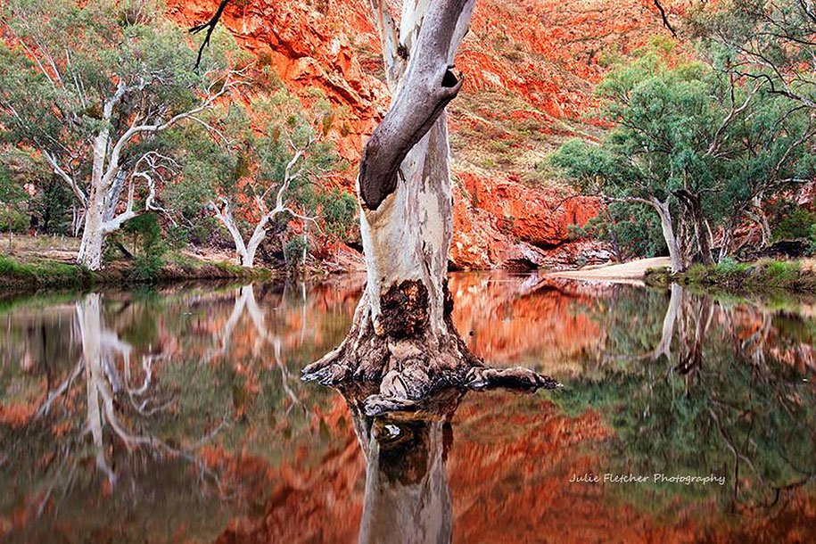 Natural landscapes of Julie Fletcher