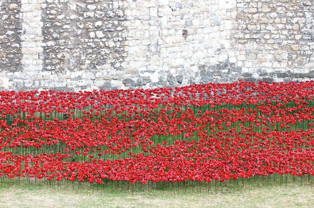 888 thousand poppies of the Castle Tower