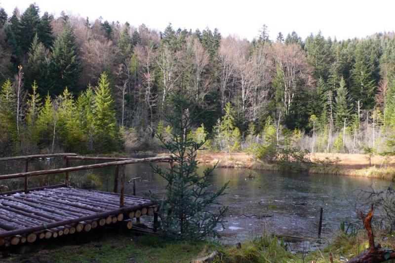 The most mysterious lake in Ukraine is the Dead Lake