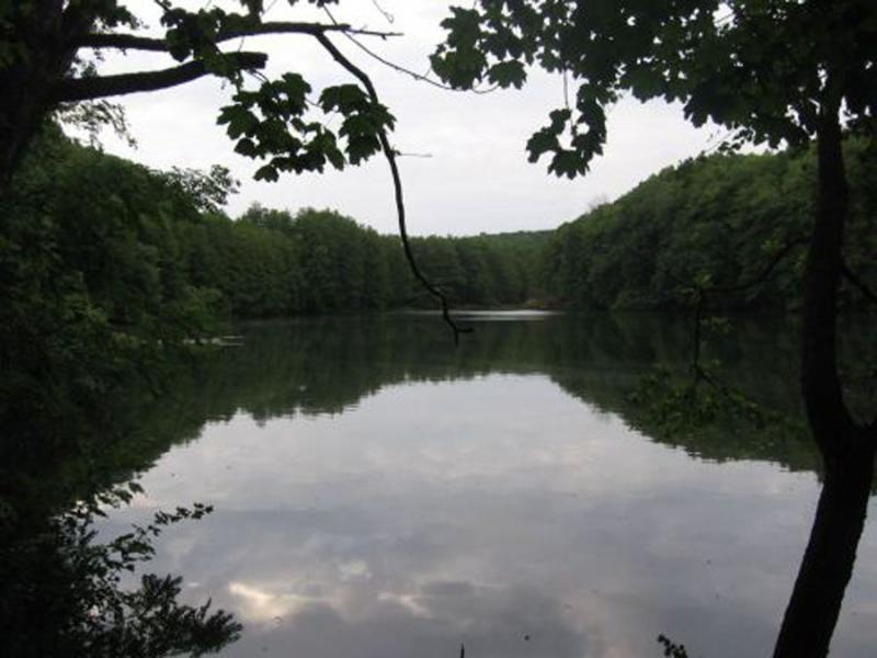 Wild unexplored rest on Shelekhovsky lake