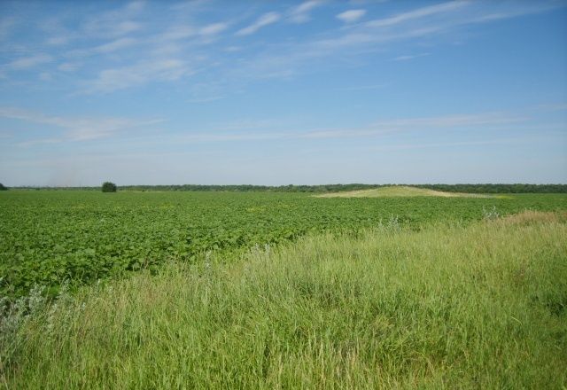 The Three Graves Mound, Zaporozhye