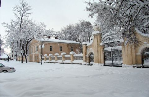  Potocki Castle, Ivano-Frankivsk 