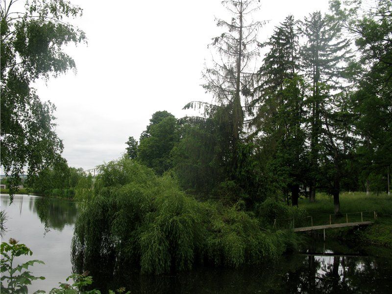 Парк «Брусницкий»