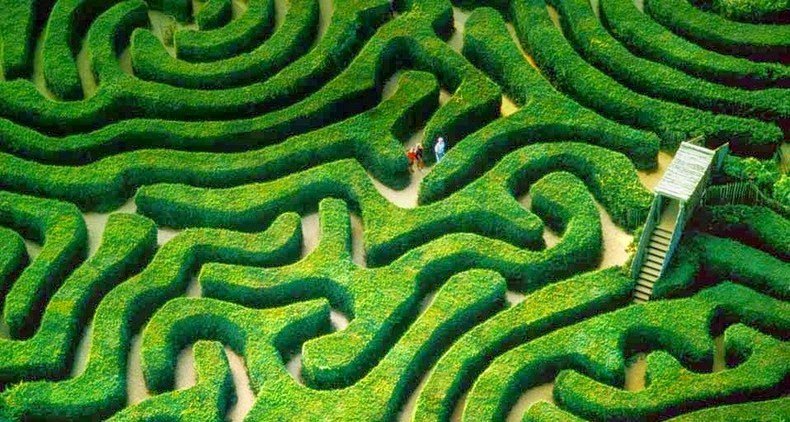 Longleat Hedge Maze - самый длинный в мире лабиринт