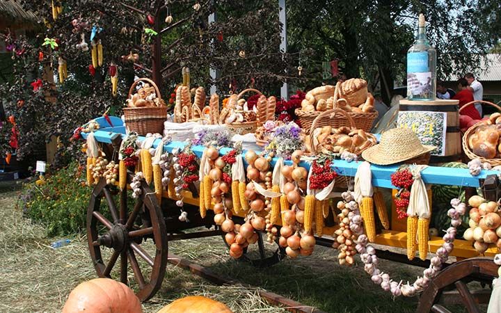  Field of the Sorochinskaya Fair 