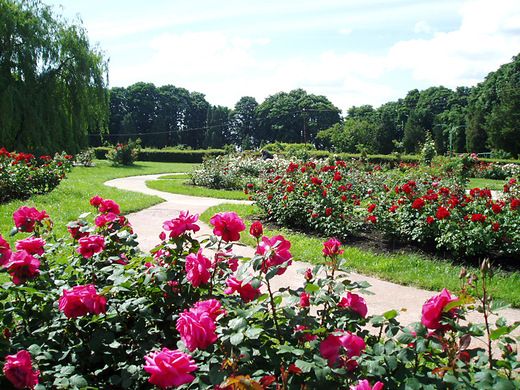Национальный ботанический сад имени Николая Гришко НАН Украины