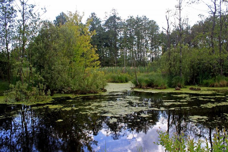 Shatskie lakes , Shatsk 