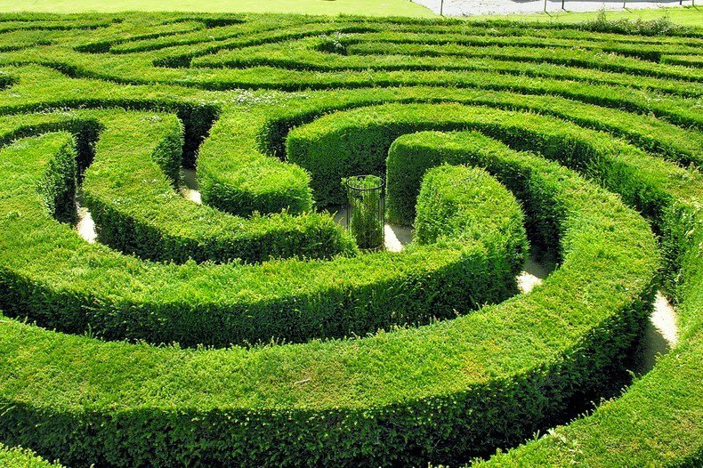 Longleat Hedge Maze - самый длинный в мире лабиринт