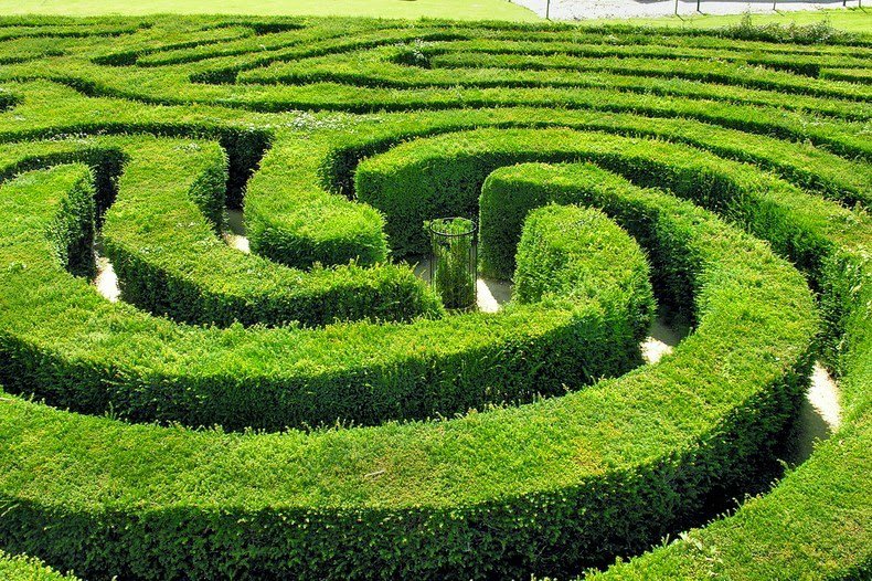 Longleat Hedge Maze - the world's longest labyrinth