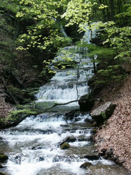 Golovkinsky Waterfall