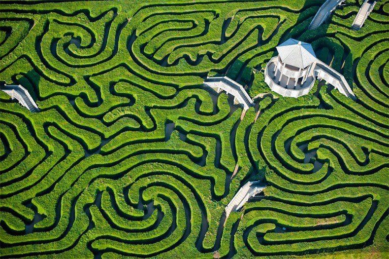 Longleat Hedge Maze - найдовший в світі лабіринт