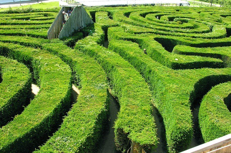 Longleat Hedge Maze - самый длинный в мире лабиринт