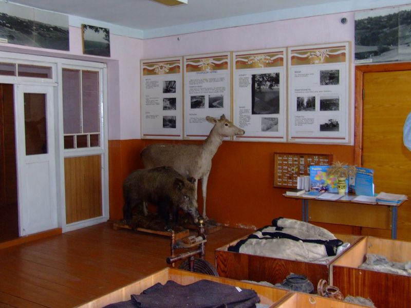  Історико-краєзнавчий музей, Кунисівці 