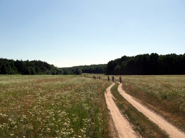 Regional landscape park Dikansky